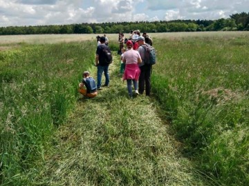 Dzień Łąki na Polu Nieborowskim z Fundacją „Kwietna” , 